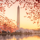 Image for article titled Why We Didn't Know How Tall the Washington Monument Was Until Now